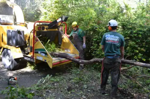 tree services Harlan